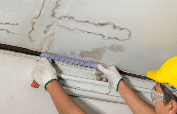 Reliable Mold Remediation contractor in Rush Springs, OK by Water Damage Irwin